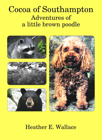 Cocoa of Southampton: adventures of a little brown poodle